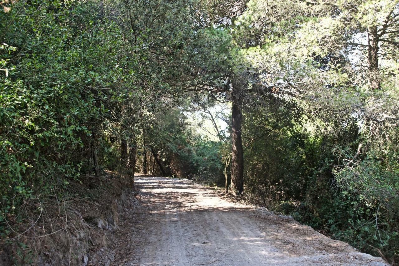 פינאלה ליגורה Casa Vacanze A Lea L'Ua מראה חיצוני תמונה